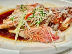-莆鑫海鲜城(浏河店)