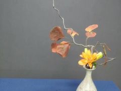 -荷兰布尔玛国际花艺学院