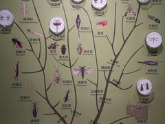 -天津自然博物馆