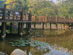 -深圳国际园林花卉博览园