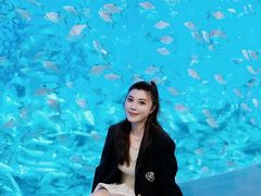 -合肥海洋世界