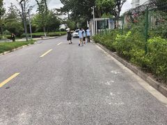 -苏州城市学院
