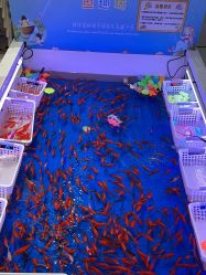 -孩子王童乐园(洛阳万达店)