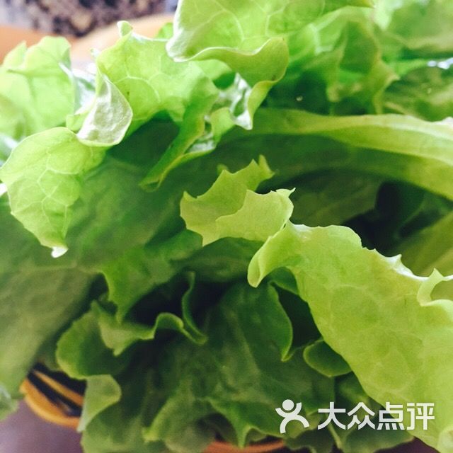 好朋友韩国餐厅生菜图片 - 第8张