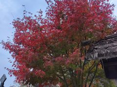 -溧阳天目湖天沐温泉