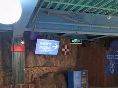 -海合安青岛极地海洋公园