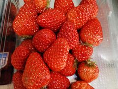 -昌平兴寿秀秀草莓采摘园