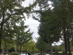 -浙江农林大学(东湖校区)