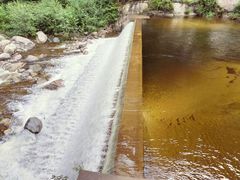 -陕西省红河谷森林公园