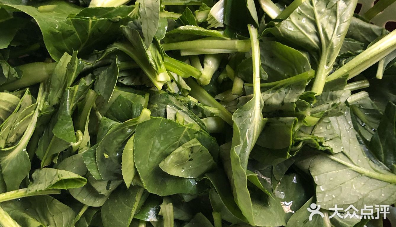 外婆家自种青菜纯天然绿色食品
