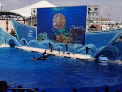 -上海海昌海洋公园