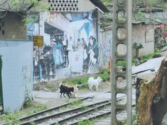 -黄桷坪涂鸦艺术街