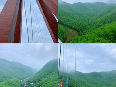 -中国大竹海景区