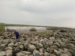 -南汇嘴观海公园