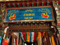 -古树酸奶(八廓南街店)