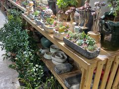 -金三角花鸟鱼综合市场-地面停车场