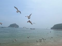 -棒棰岛宾馆景区