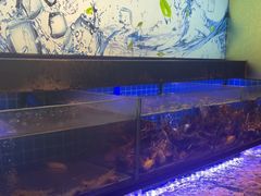 -透明思烤·自助烤肉海鲜火锅(东部星悦天地店)