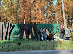 -黄海国家森林公园