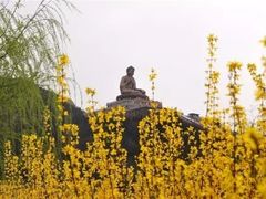 -龙口南山旅游景区