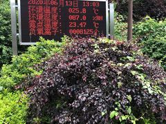 -大围山国家森林公园