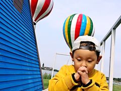 -武清南湖绿博园