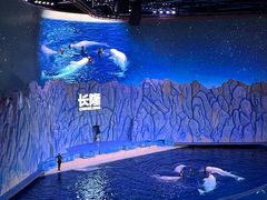 -珠海长隆海洋王国
