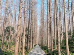 -上海怡沁园度假酒店