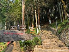 -莫干山风景区