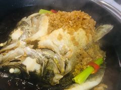 -芙蓉堂(武汉天地店)