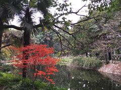 -叶家花园