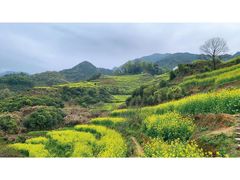 -篁岭景区