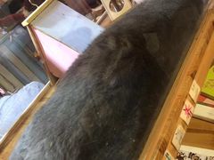 -小时光咖啡馆(开森度假森林店)