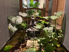 -邈墨茶馆(凤起路店)