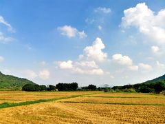 -风云岭森林公园