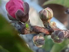 -点都德(广州白云山景区南门店)