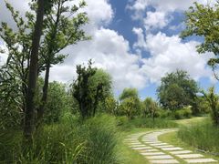 -上海长兴岛郊野公园