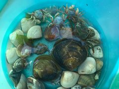 -北海金海湾红树林生态旅游区