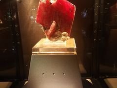 -中国地质大学逸夫博物馆