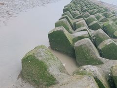 -南汇新城海滩