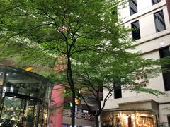 -百汇医疗健康管理与出国体检中心