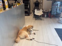 -YCHL Studios健身工作室(市二宫店)