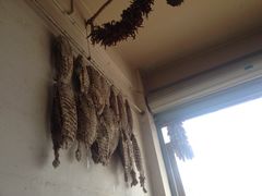 大堂-阿婆情腊排骨火锅(金虹路店)