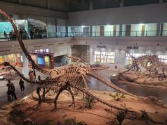 -自贡恐龙博物馆