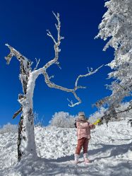 -大秃顶子山(雪谷店)