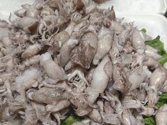 -天天鱼港·海鲜·鲅鱼水饺·招牌烤鸭(黄骅店)