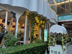 -杜哈夫DOUX RÊVE·生日蛋糕(日月光店)