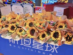 -斯坦星球AI编程·机器人科创·科学实验·信奥·思维·STEM·乐高·竞赛考级(长宁虹桥大融城荟聚中心)