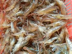 -八仔大富楼·河鲜(西江店)