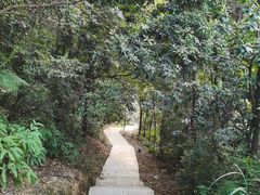 -中山市树木园